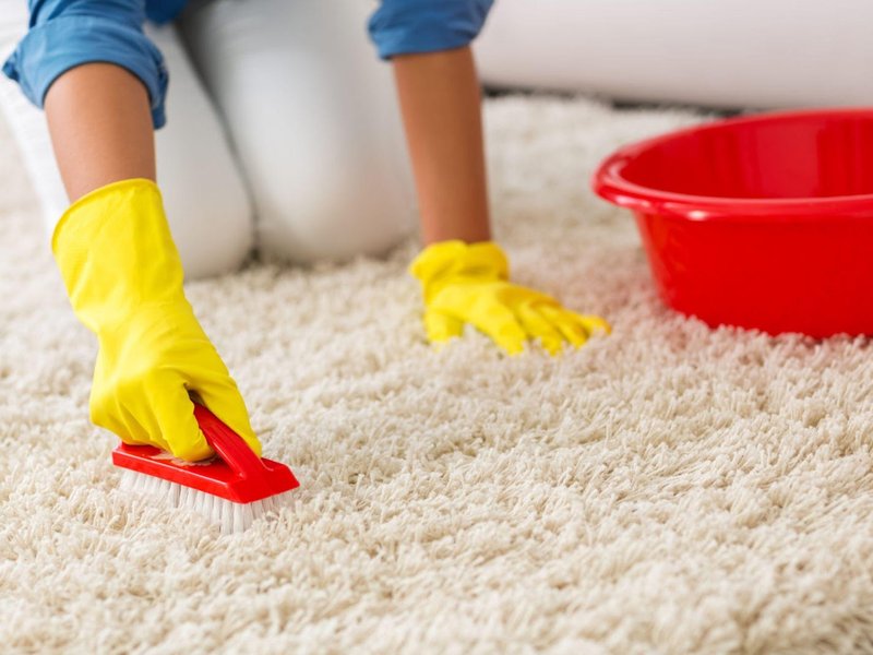 MAINTAINING YOUR CARPET