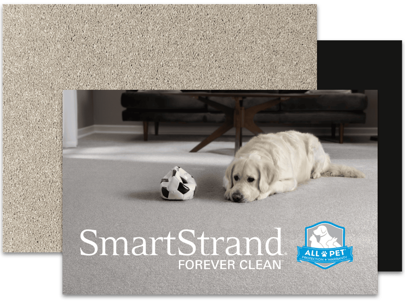 Pandolfi House of Carpet & Flooring carries SmartStrand in the Springfield, PA area.